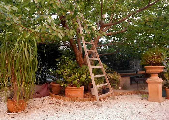 Jardin Vieux Port Panier