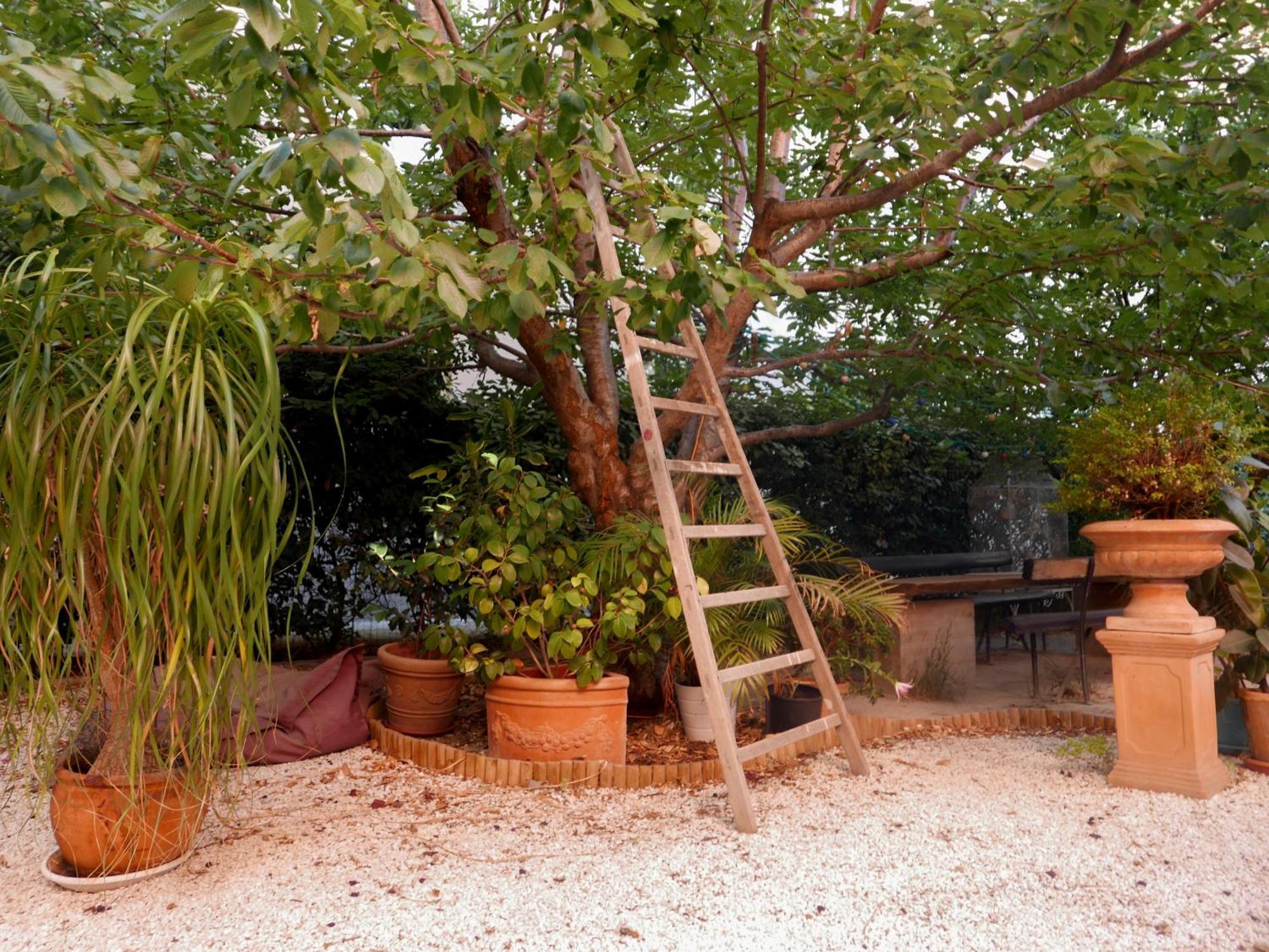 Jardin Vieux Port Panier *