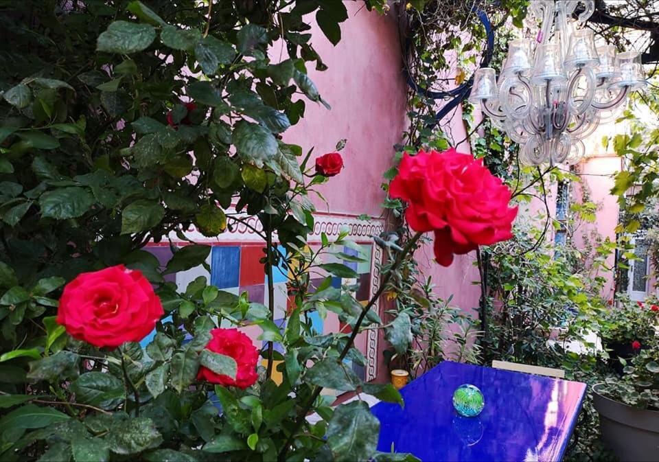 Jardin Vieux Port Panier Marseille